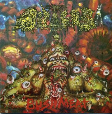 Dipygus - Bushmeat