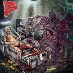 Cover for Insidious Squelching Penetration - Writhing In Darkness