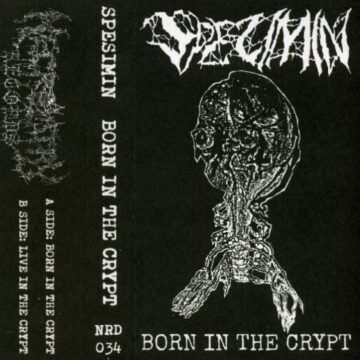 Cover for Spesimin - Born In The Crypt (Cassette)