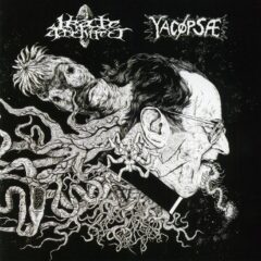 Cover for Yacopsae / Irate Architect - Split CD
