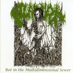 Cover for SolarCrypt - Rot in the Multidimensional Sewer