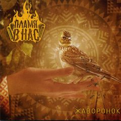Cover for Flame in us - Zhavoronok