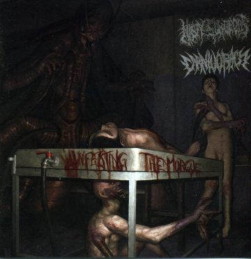 Cover for Nasty Surgeons / Carnivoracy - Infecting the Morgue