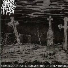 Cover for Anal Pus - Unsurmountable Exhaustion Of Disentombed