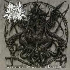 Cover for Angel Splitter - Descension To Demonic Paraphilia