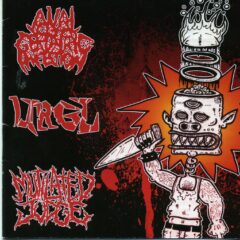 Cover for Anal Geriatric Infection / URGL / Mutilated Judge - 3 Way Split