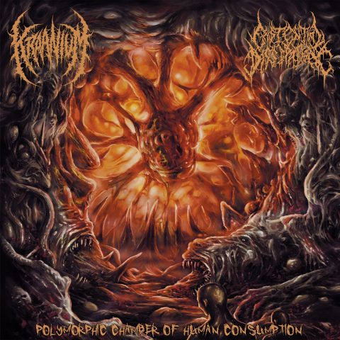 Cover art for Kraanium Existential Dissipation split