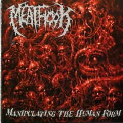 Cover for Meathook - Manipulating the Human Form
