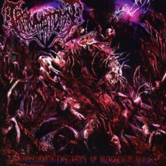 Cover for Traumatomy - Transcendental Evisceration Of Necrogenetic Beasts