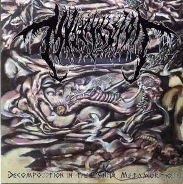 Cover for Mvltifission - Decomposition in the Painful Metamorphosis