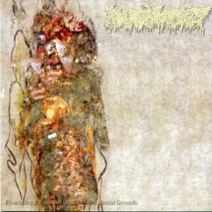 Cover for Pharmacist - Flourishing Extremities On Unspoiled Mental Grounds