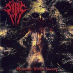 Cover for Sijjeel - Salvation Within Insanity