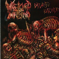 Cover for Wretched Inferno - Decayed Butchery