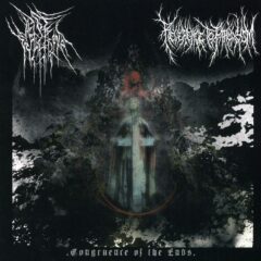 Cover for Pestilength / Reverence to Paroxysm - Congruence of the Ends