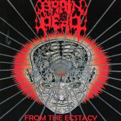 Cover for Brain Dead - From the Ectacy