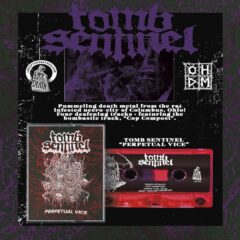 Cover for Tomb Sentinel - Perpetual Vice (Cassette)