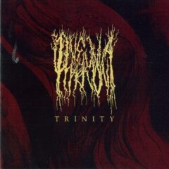 Cover for Pneuma Hagion - Trinity I-II-III