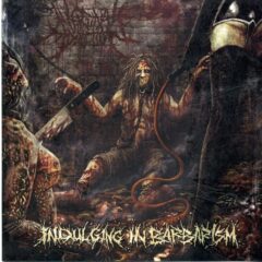 Cover for Vaginal Addiction - Indulging in Barbarism