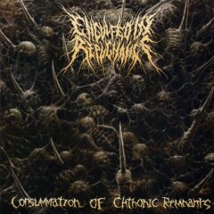 Cover for Engulfed in Repugnance - Consummation of Chthonic Remnants