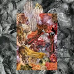 Cover for Golem of Gore / Lipoma - Split CD