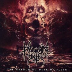 Cover for Human Hate - The Wrenching Dusk of Flesh