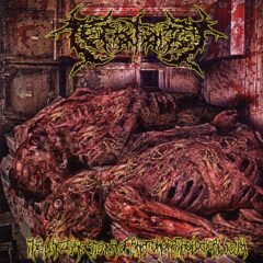 Cover for Teratology - The Lingering Stench Of Anatomopathological Scum