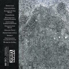 Cover for Human Corpse Abuse - Xenoviscerum (Cassette)
