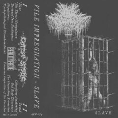 Cover for Vile Impregnation - Slave (Cassette)