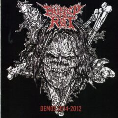 Cover for Buried to Rot - Demos 2014-2012