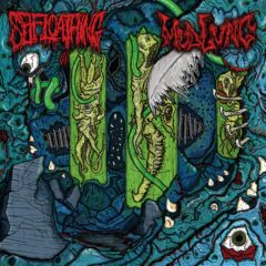 Cover for Self Loathing / Mudlung - Malefic Hallucinations