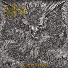 Cover for Perdition Temple - Merciless Upheaval