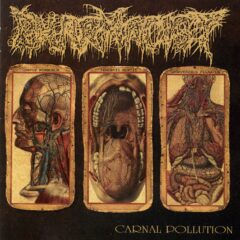 Cover for Pharmacist - Carnal Pollution