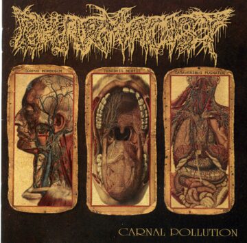 Cover for Pharmacist - Carnal Pollution