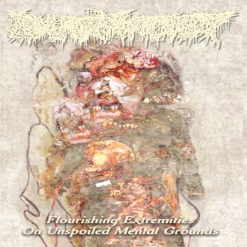 Cover for Pharmacist - Flourishing Extremities On Unspoiled Mental Grounds (Cassette)