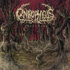 Cover for Onirophagus - Prehuman