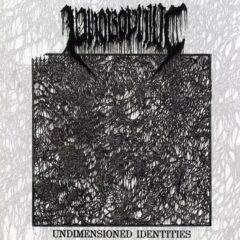 Cover for Phobophilic – Undimensioned Identities