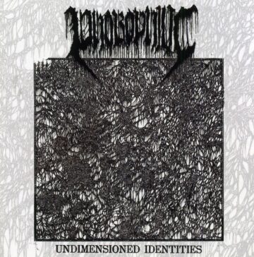 Cover for Phobophilic – Undimensioned Identities