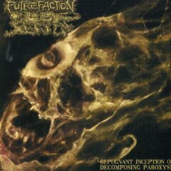 Cover for Putrefaction Sets In - Repugnant Inception of Decomposing Paroxysm