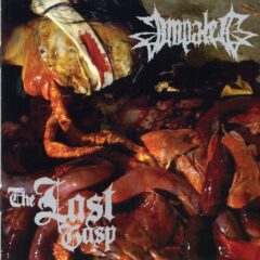 Cover for Impaled - The Last Gasp