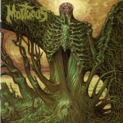 Cover for Mortuous - Through Wilderness