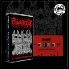 Cover for Fossilized - Remnants of Decimation (Cassette)
