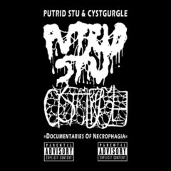 Cover for Putrid Stu / Cystgurgle - Documentaries of Necrophagia Split (Cassette)