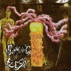 Cover for Summoning of Flesh - Born From Gore