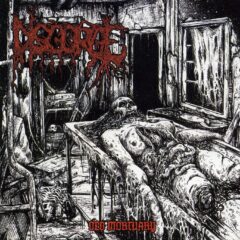 Cover for Disgorge - Old Mortuary