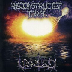 Cover for Reconstructed Torso - Varied
