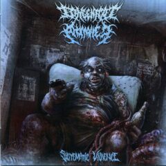 Cover for Congenital Anomalies - Systematic Violence