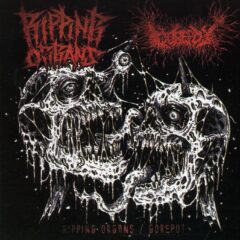 Cover for Ripping Organs / Gorepot - Split CD