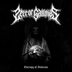 Cover for Seer of Gallows - Entropy of Holocene (Cassette)