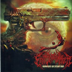 Cover for First Degree Murder - Anomalous Hallucinations