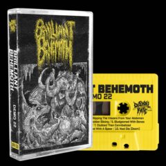 Cover for Brilliant Behemoth - Demo 22 (Cassette)